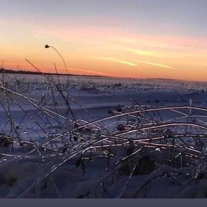 Meet your Posher, Ava